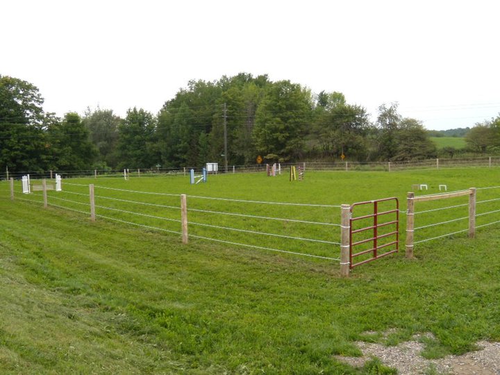 Front grass ring with jumps